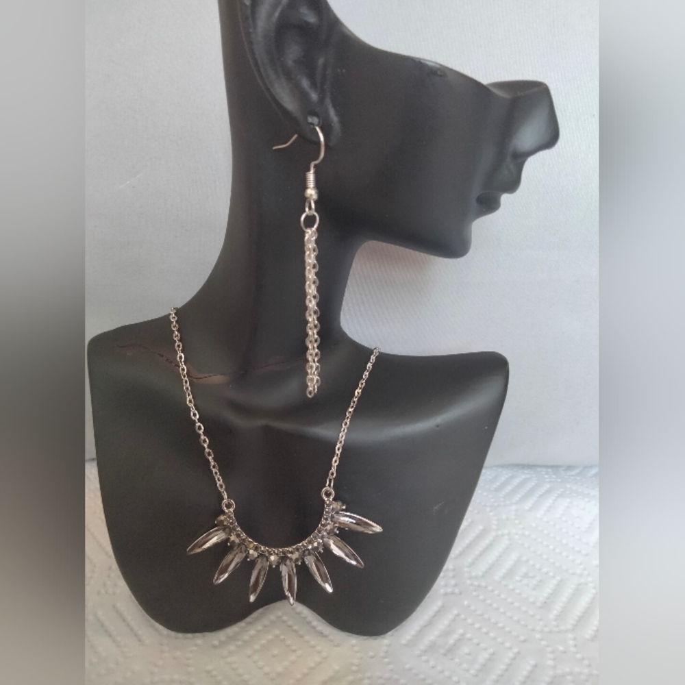 Nwt Long necklace w/ earrings